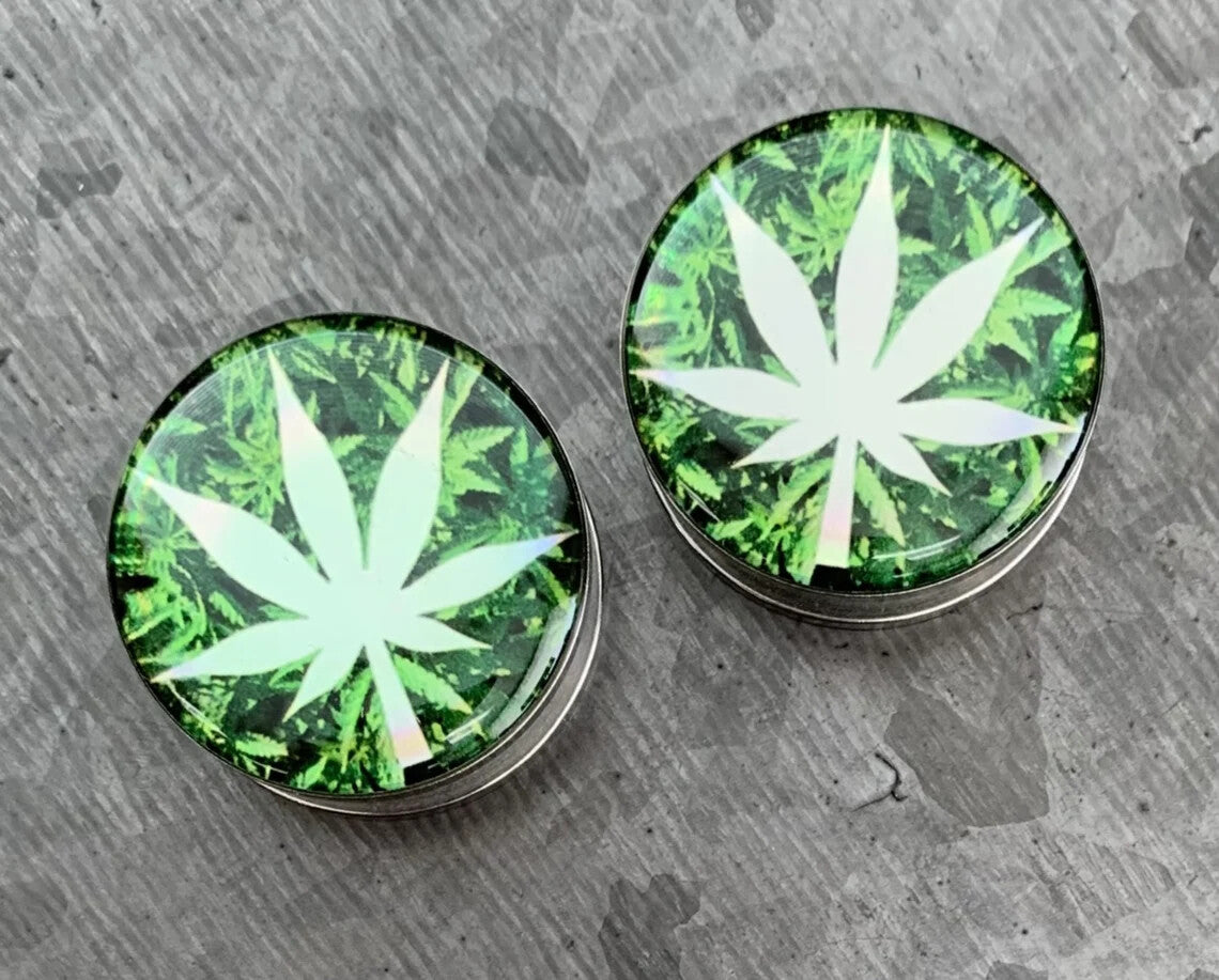 PAIR Hologram Pot Leaf Screw Fit Tunnels Ear Plugs Gauges Earlets Body Jewelry 8 sizes