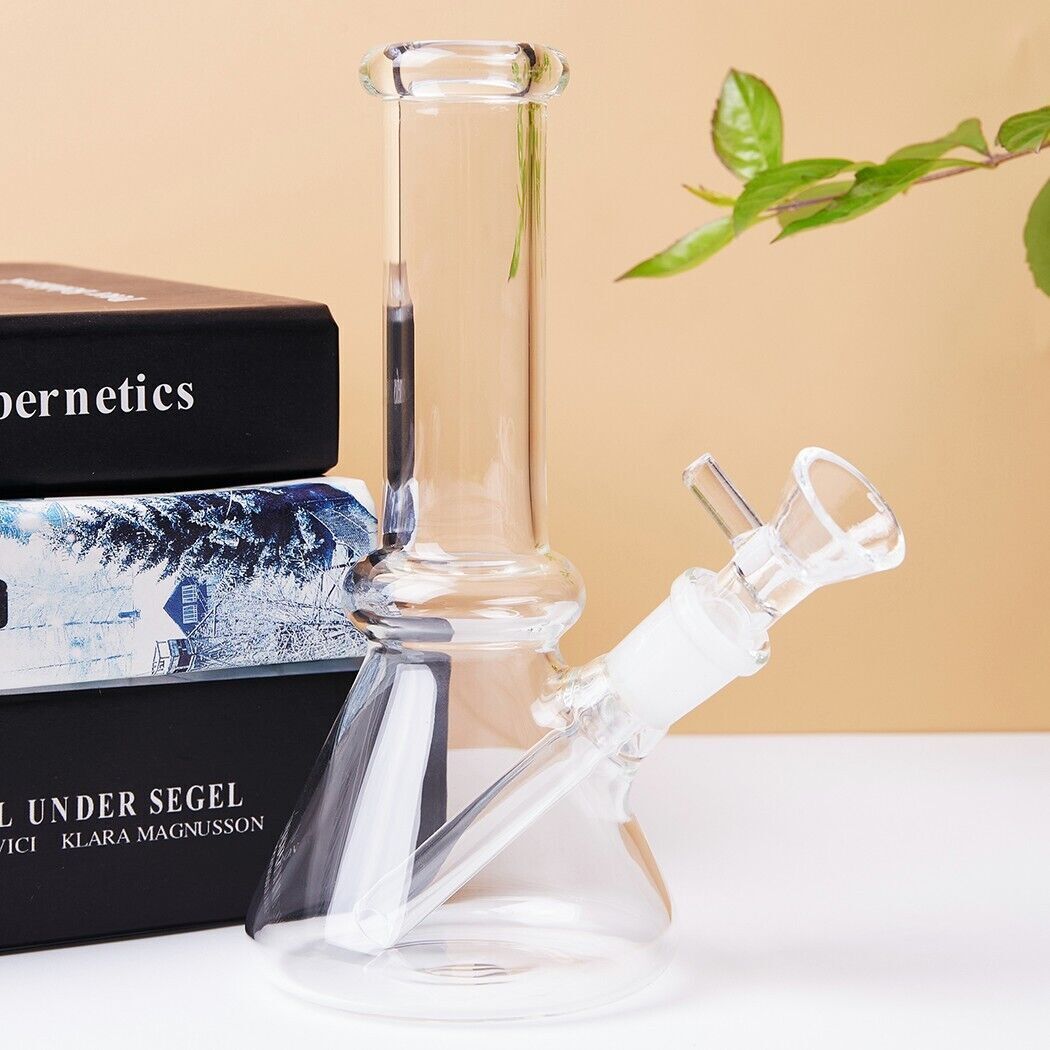 6" Small Glass Bong with Travel Box Smoking Tobacco Water Pipe 14MM Glass Bowl