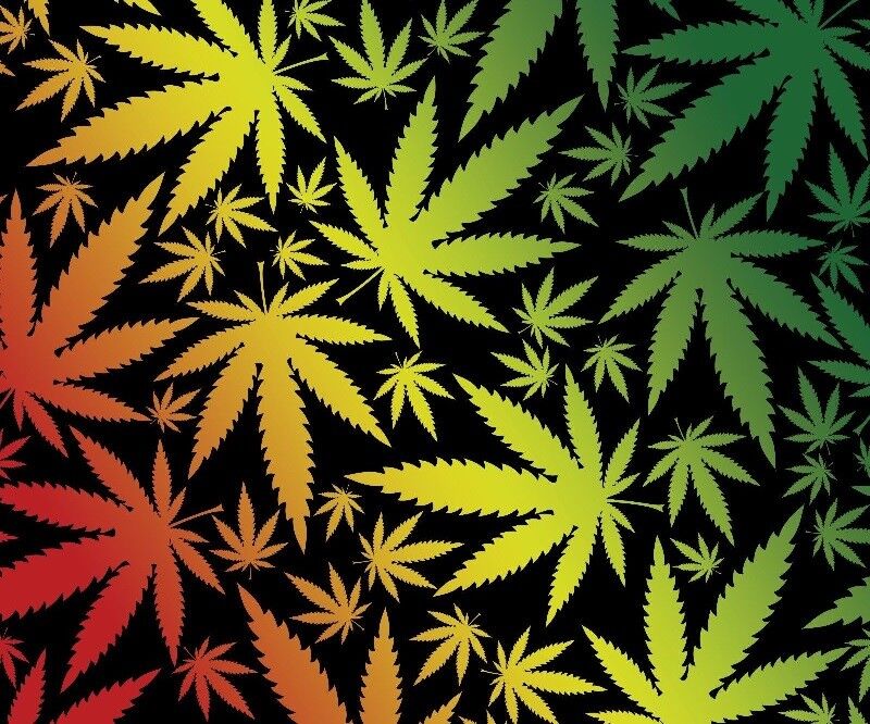 New Marijuana Pot Leaves Leaf Fleece Throw Blanket Gift Rasta Weed Colorado SOFT
