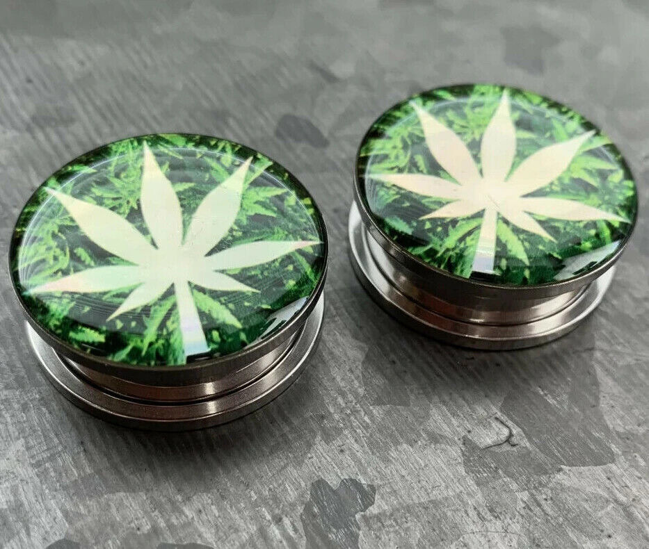 PAIR Hologram Pot Leaf Screw Fit Tunnels Ear Plugs Gauges Earlets Body Jewelry 8 sizes