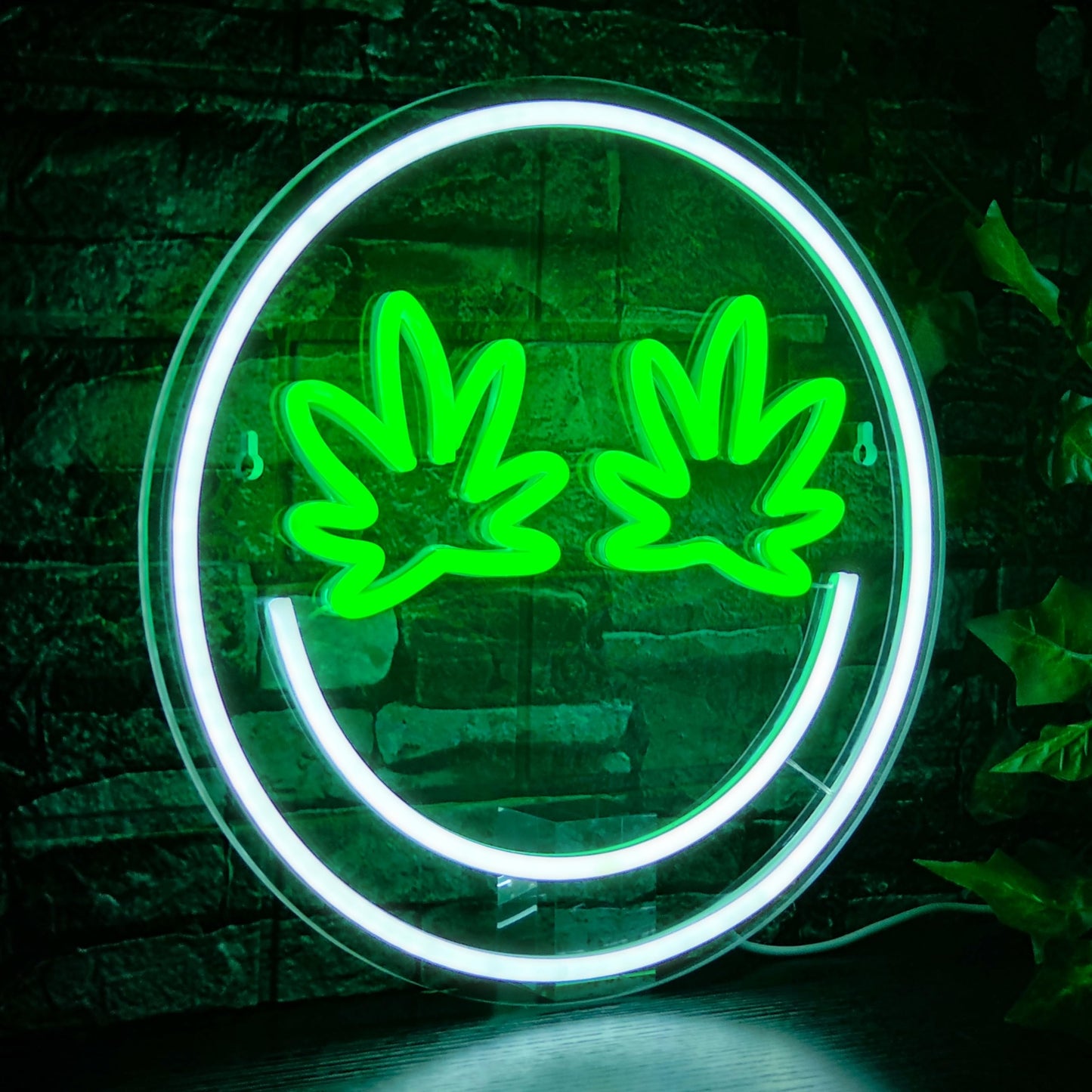 Green Leaf Eyes Neon Signs Smile Face Led Neon Lights Signs For Wall Decorusb Po