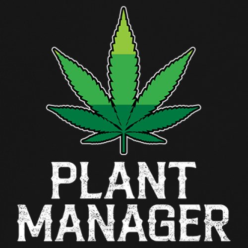 Plant Manager Women's Tank Top Funny Pot Leaf 4 colors size S to 2XL