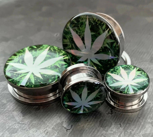 Hologram pot leaf screw fit tunnel plugs in surgical steel.